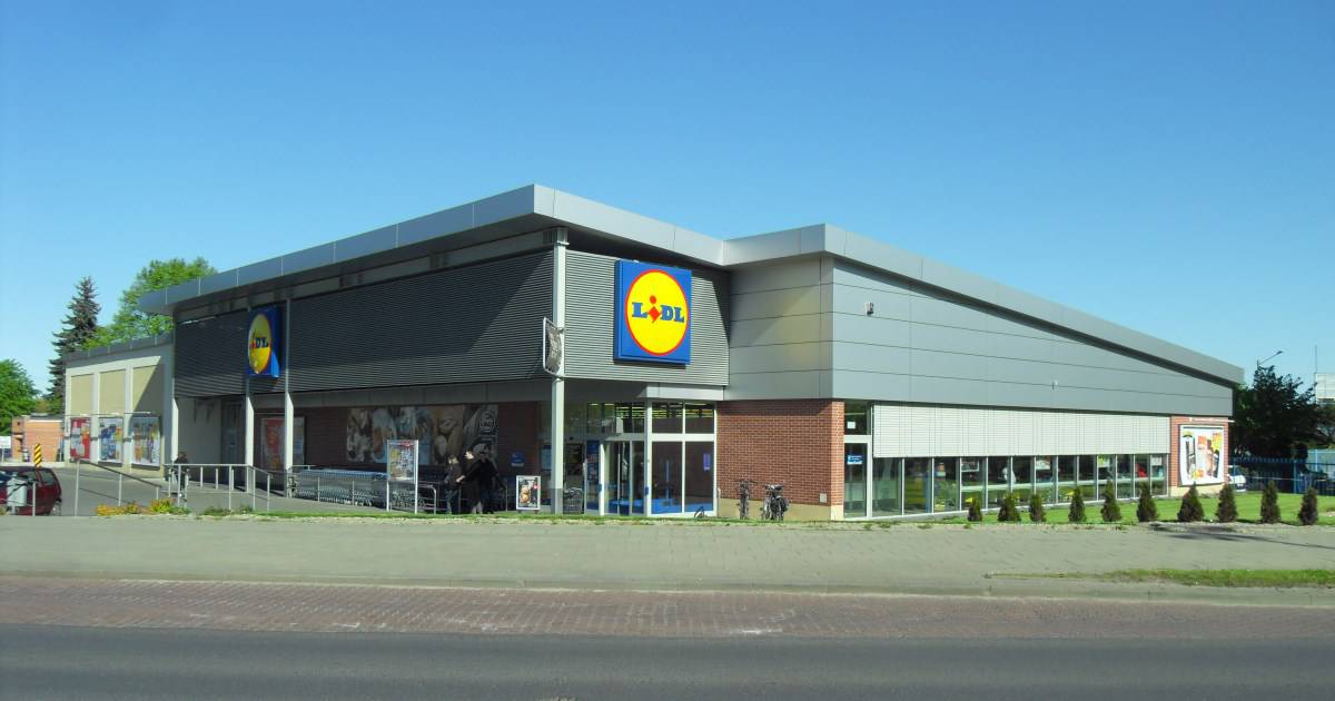 Lidl: Construa o seu Futuro Connosco